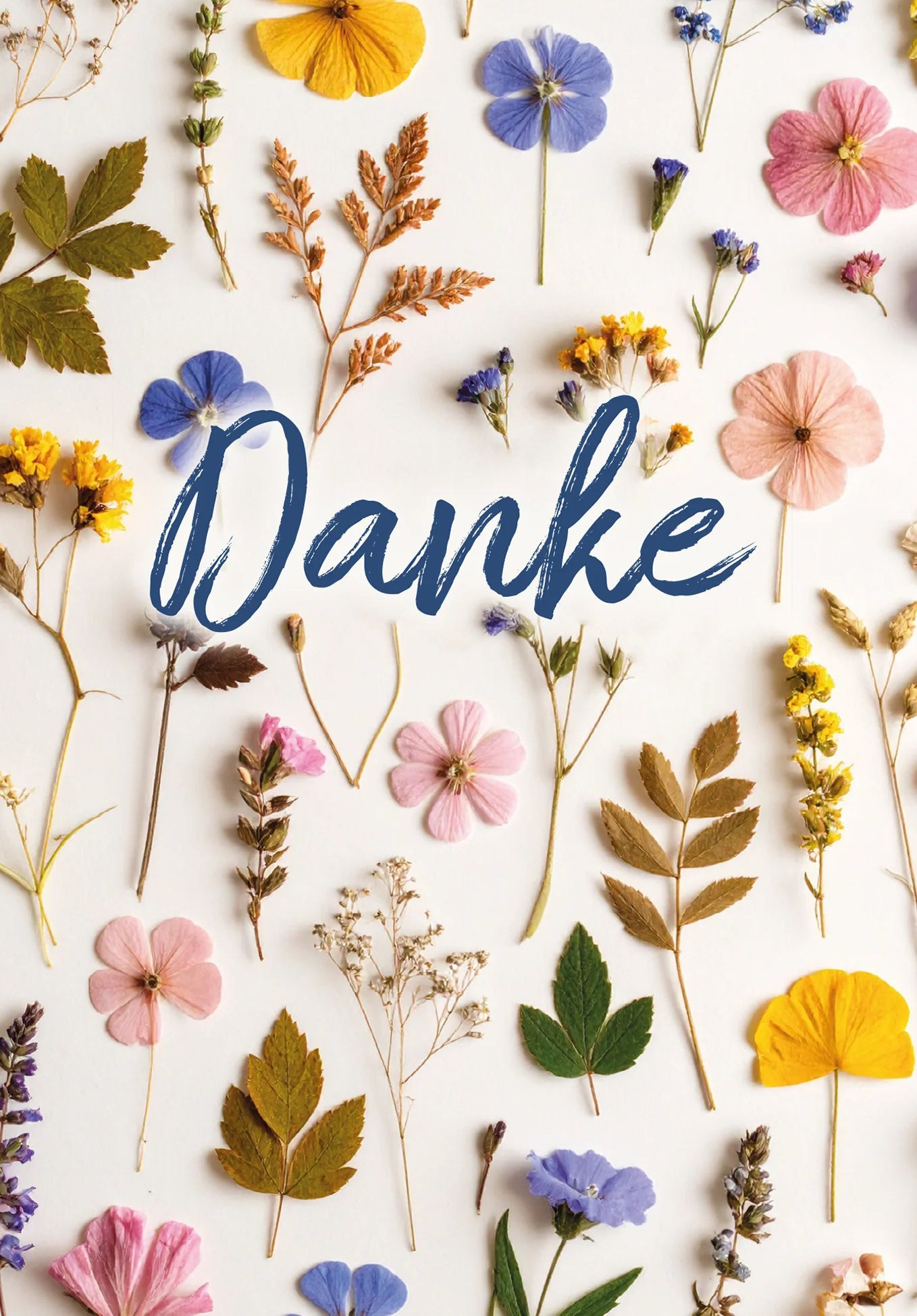 Danke - Trockenblumen Bunt PDF - Image 2