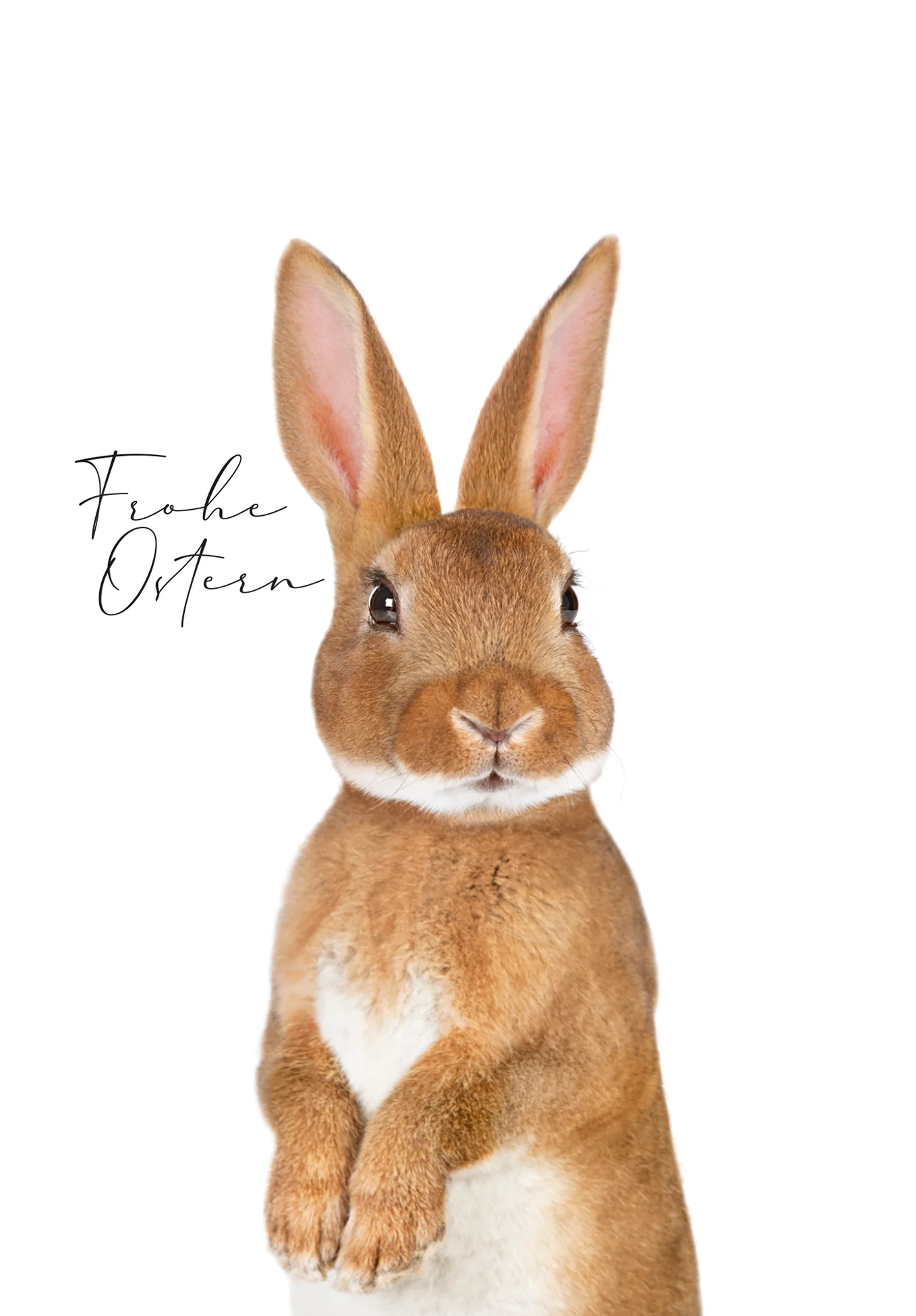 Frohe Ostern - Osterhase PDF - Image 2