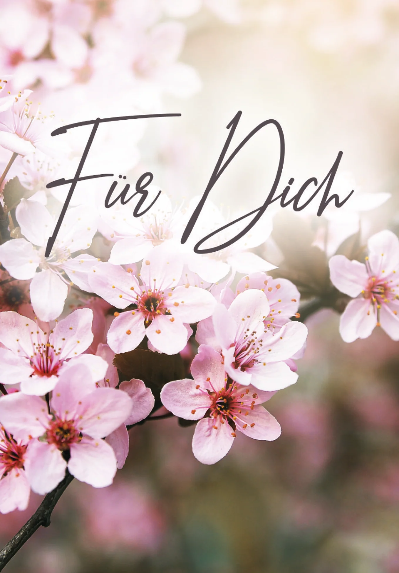 Für Dich - Kirschblüten - Image 2